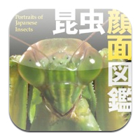  昆虫顔面図鑑【日本編】