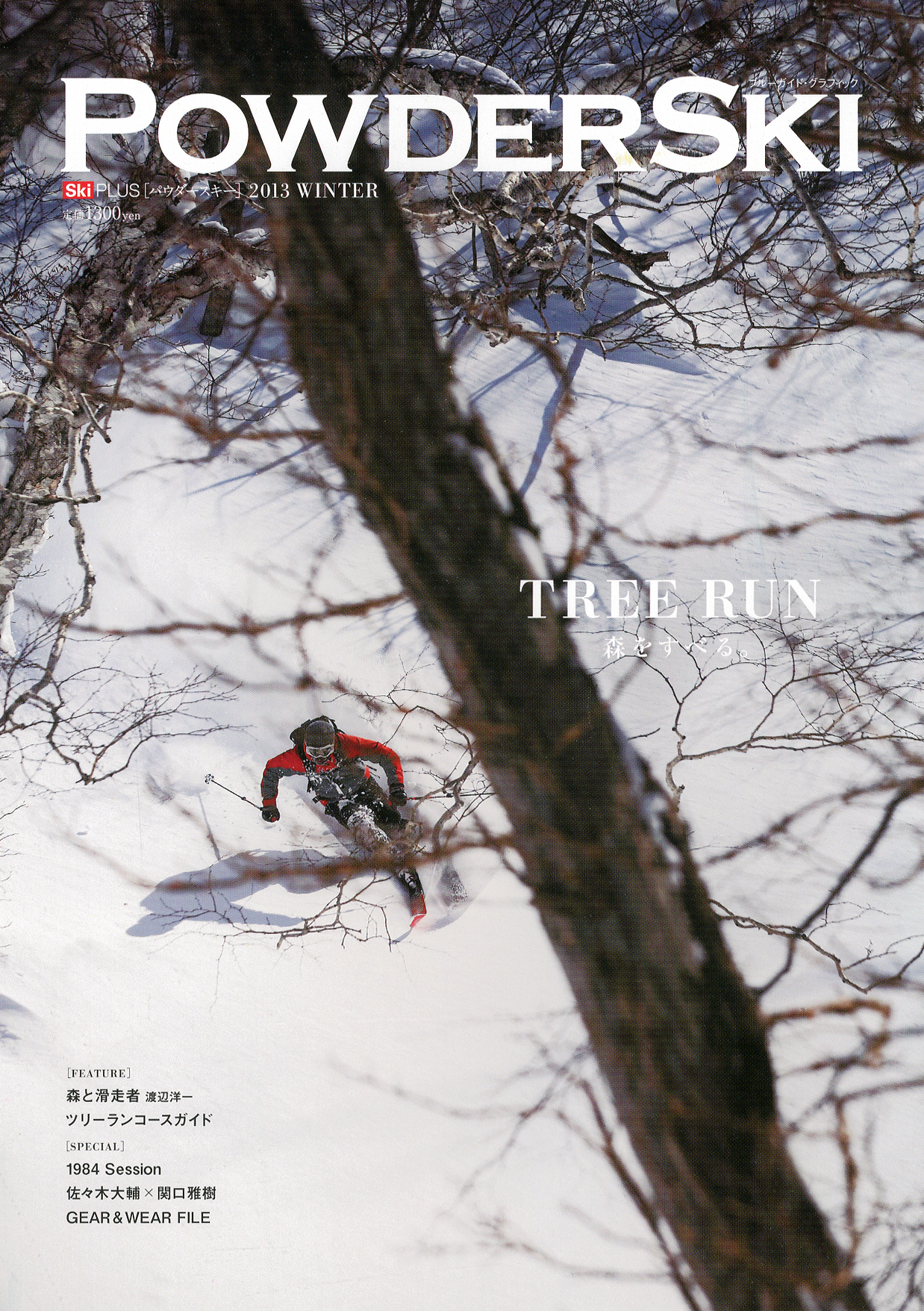 PowderSki 2013