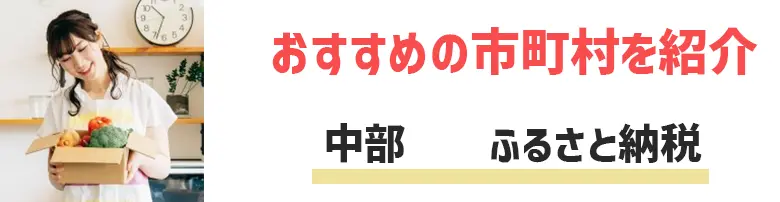 中部ふるさと納税