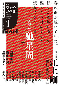 「月刊J-novel2016年1月号」書影