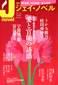 「月刊J-novel2012年12月号」書影