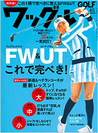 「ワッグル2017年６月号」書影