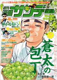 週刊漫画サンデー2011年6月7日号