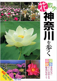 花散歩　神奈川を歩く