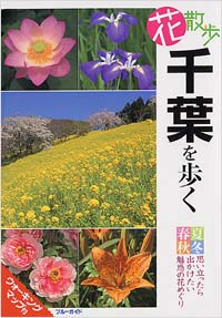 花散歩　千葉を歩く