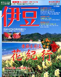 ブルーガイド情報版111　伊豆