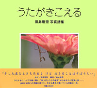 「うたがきこえる」書影