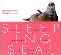 おひるねアザラシ