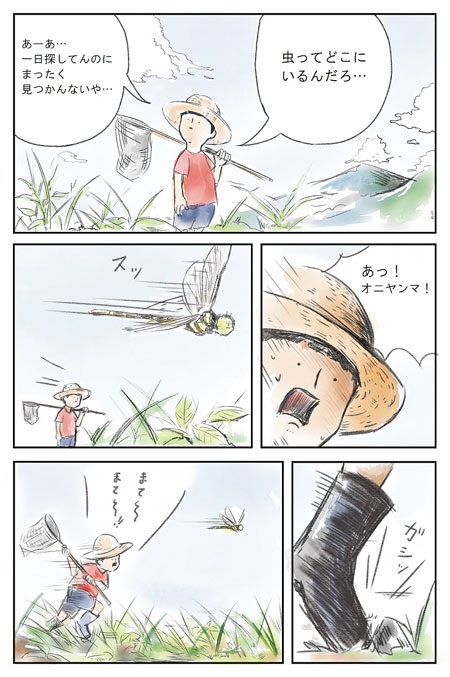 丸山宗利・じゅえき太郎の㊙昆虫手帳サンプルイメージ2