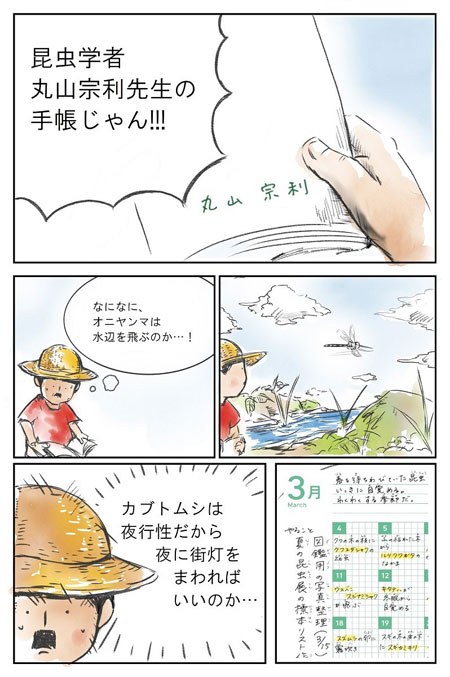 丸山宗利・じゅえき太郎の㊙昆虫手帳サンプルイメージ4