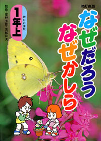 なぜだろうなぜかしら1年上