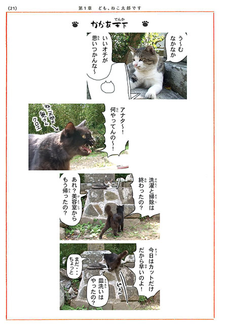 田代島ねこ便りサンプルイメージ3