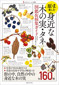 「原寸で楽しむ 身近な木の実・タネ 図鑑&採集ガイド」書影