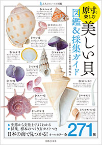 「原寸で楽しむ 美しい貝 図鑑&採集ガイド」書影